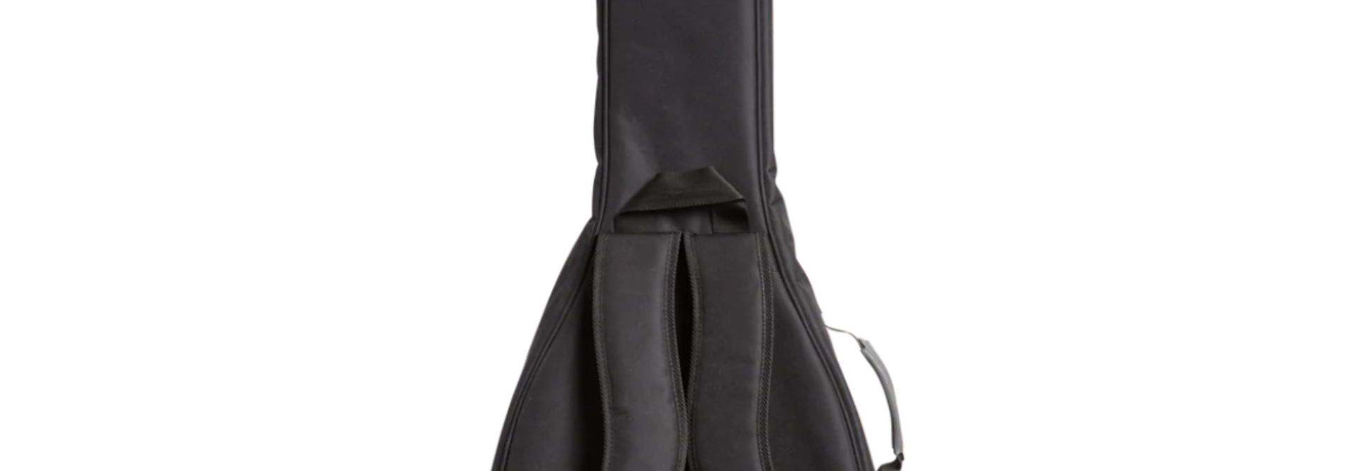 Levy's IST Embroidered 100 Series Dreadnought Gig Bag