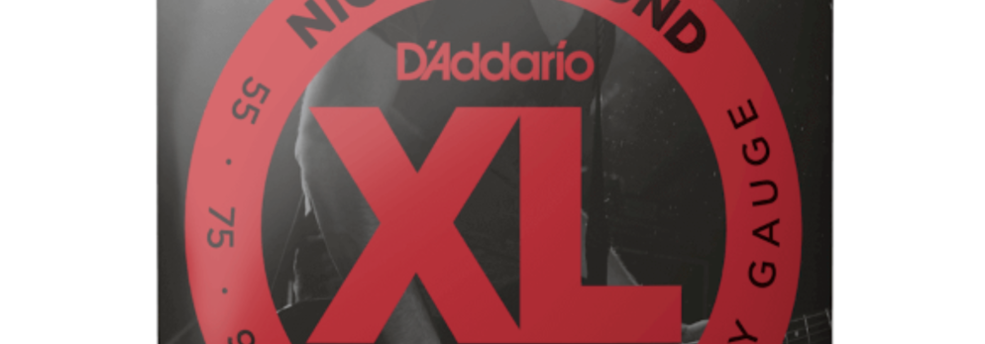 D'addario EXL 230 Heavy Long Scale Bass 55-110