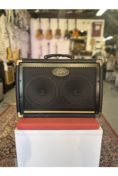 Peavey Ecoustic 208