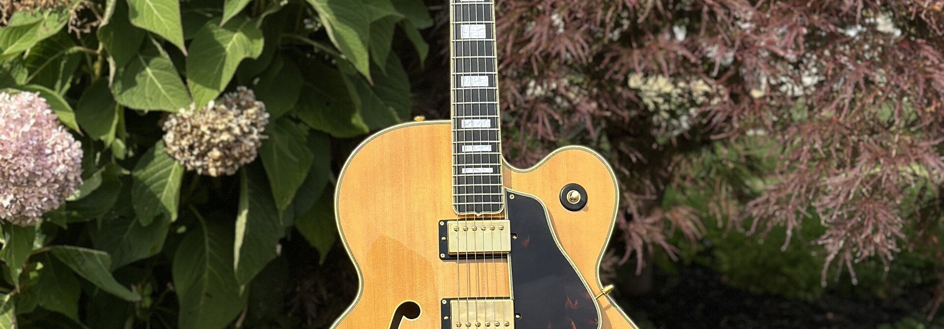 2006 Epiphone Byrdland Elitist