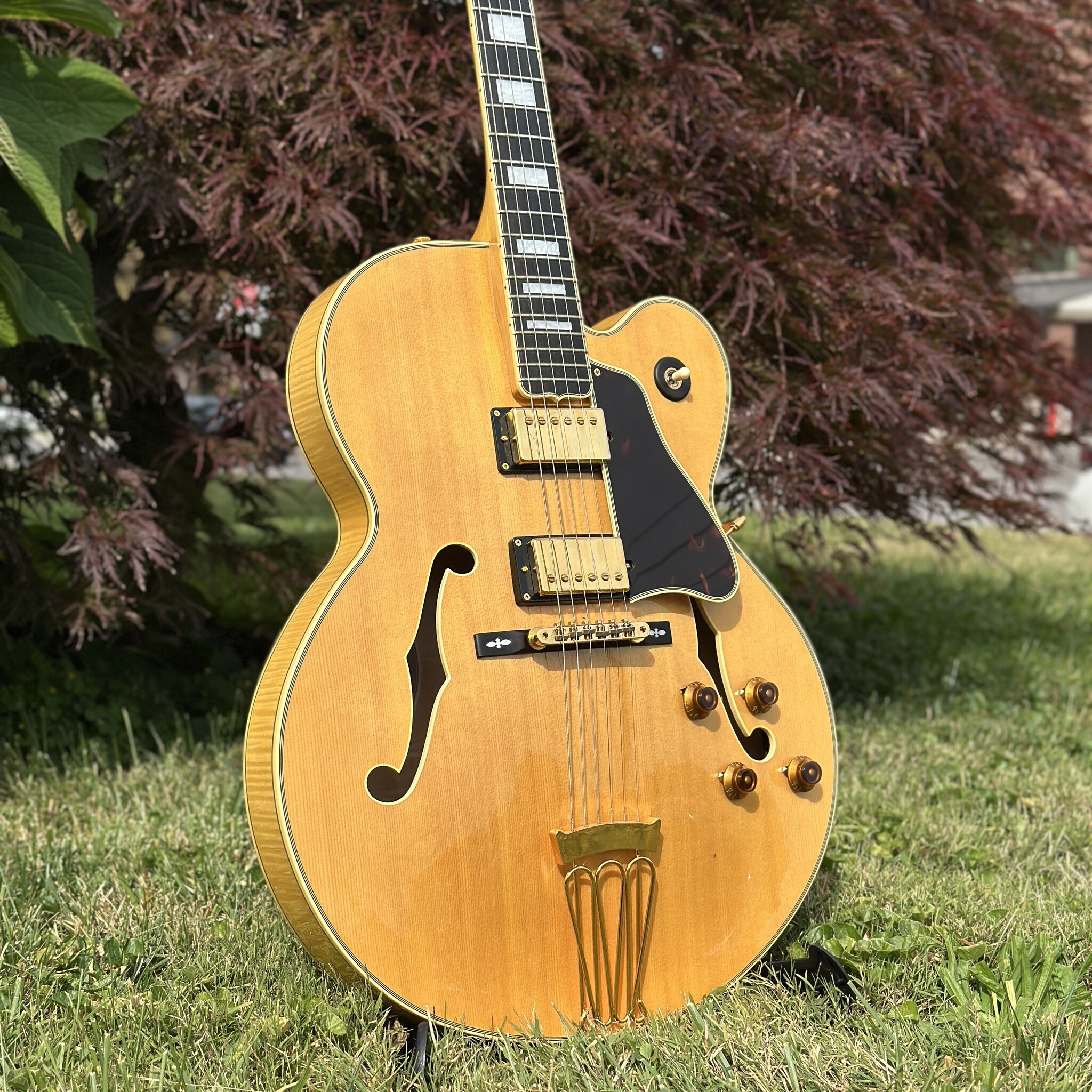2006 Epiphone Byrdland Elitist-2