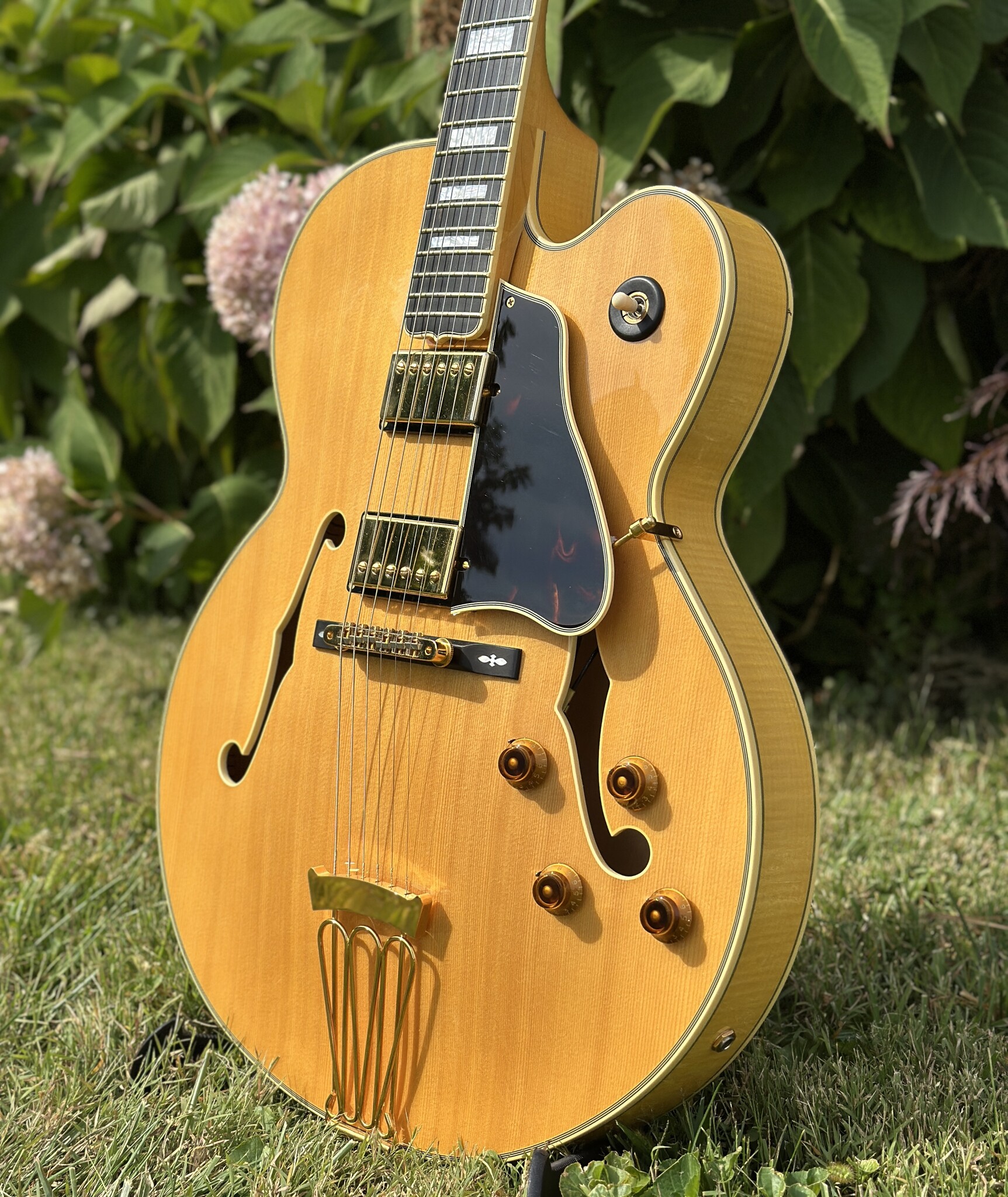 2006 Epiphone Byrdland Elitist-3