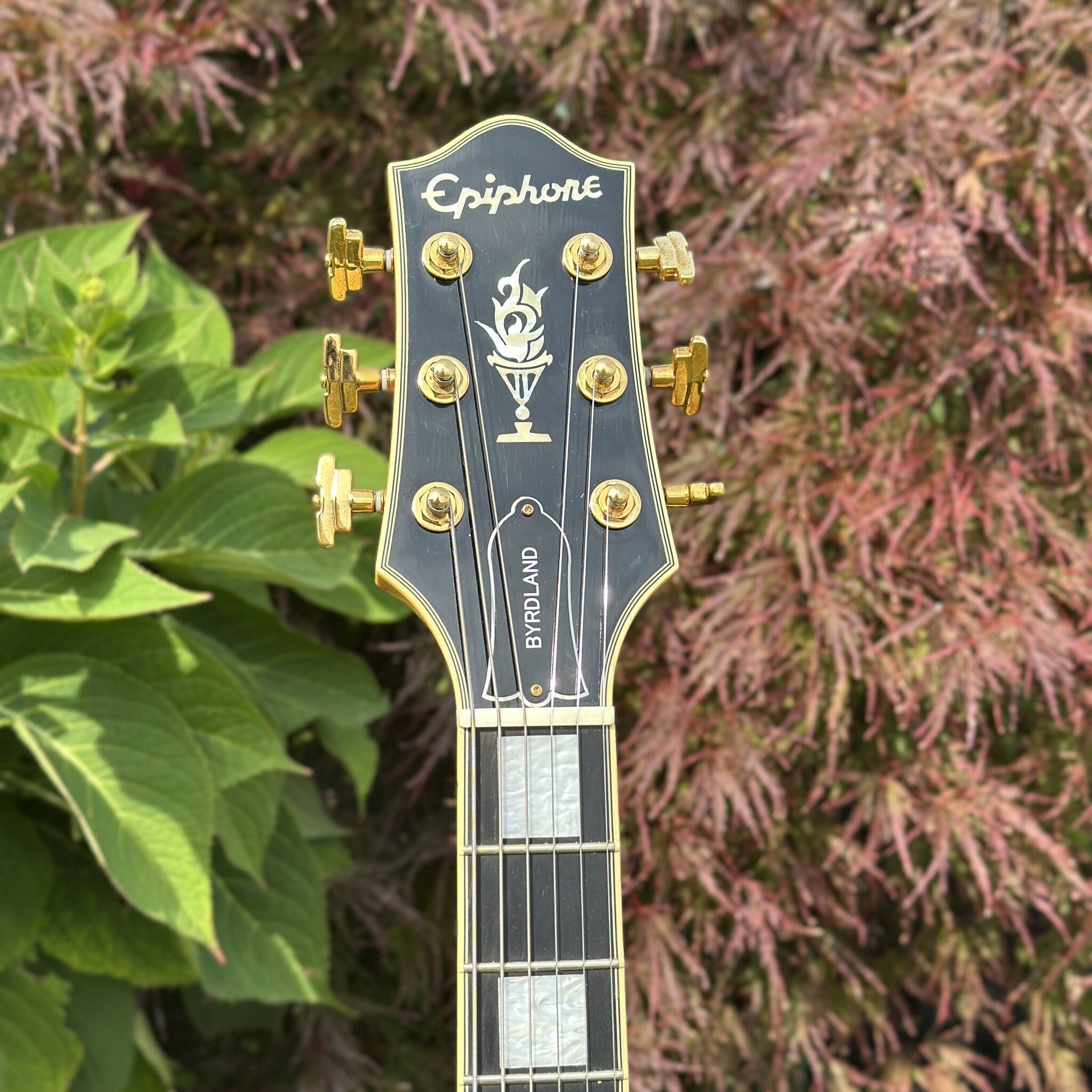 2006 Epiphone Byrdland Elitist-5