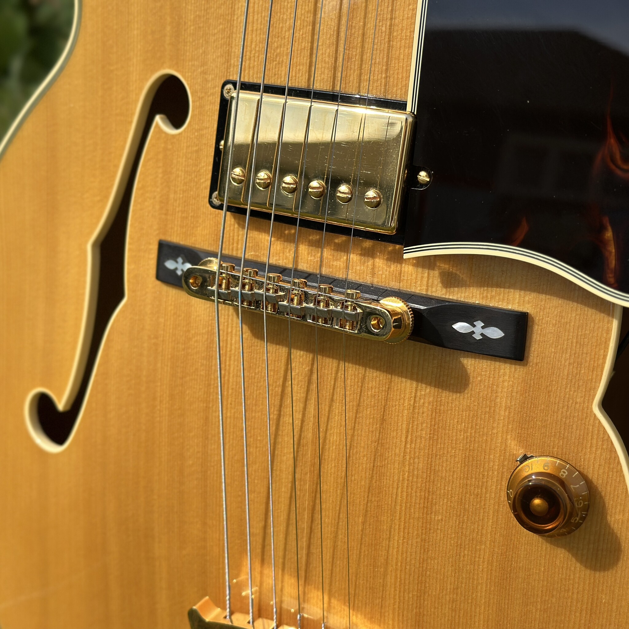 2006 Epiphone Byrdland Elitist-4