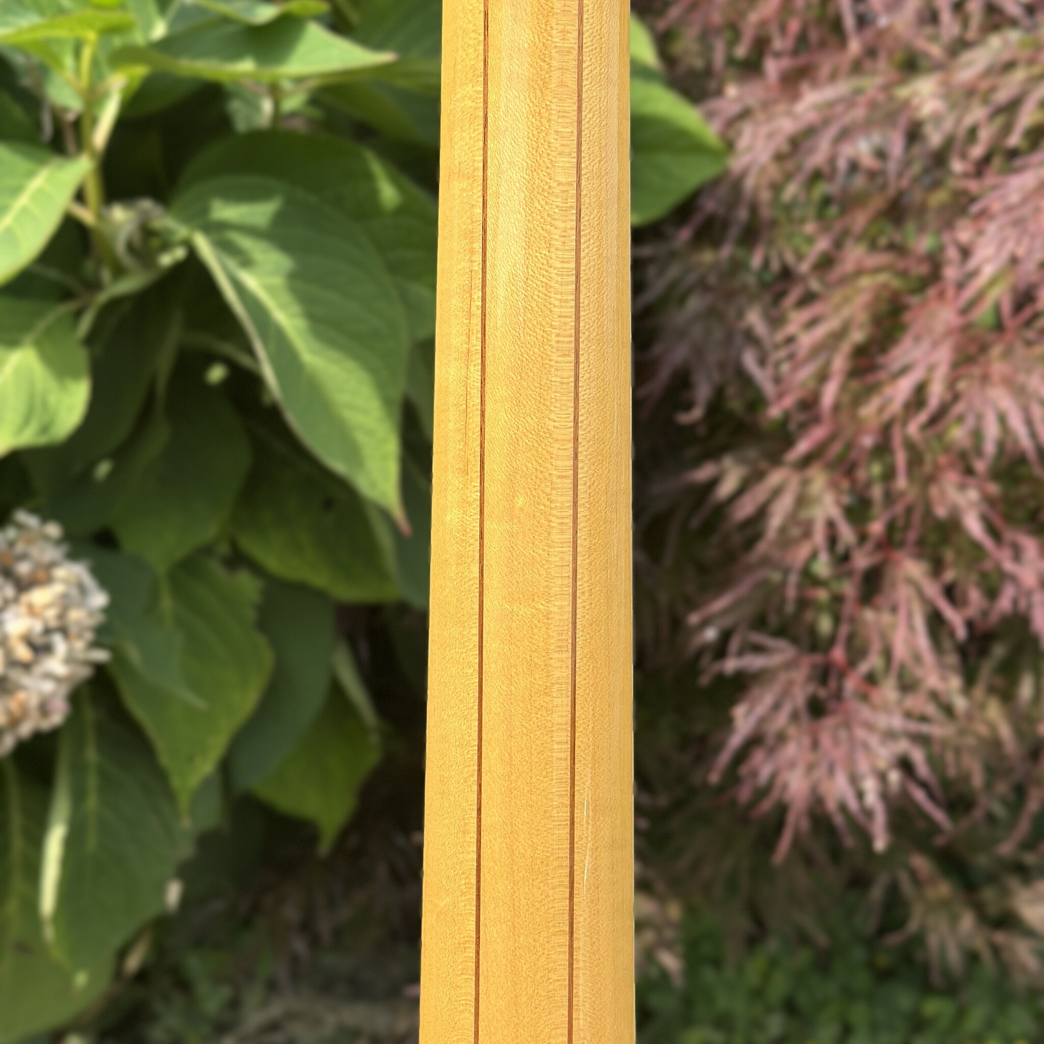 2006 Epiphone Byrdland Elitist-7