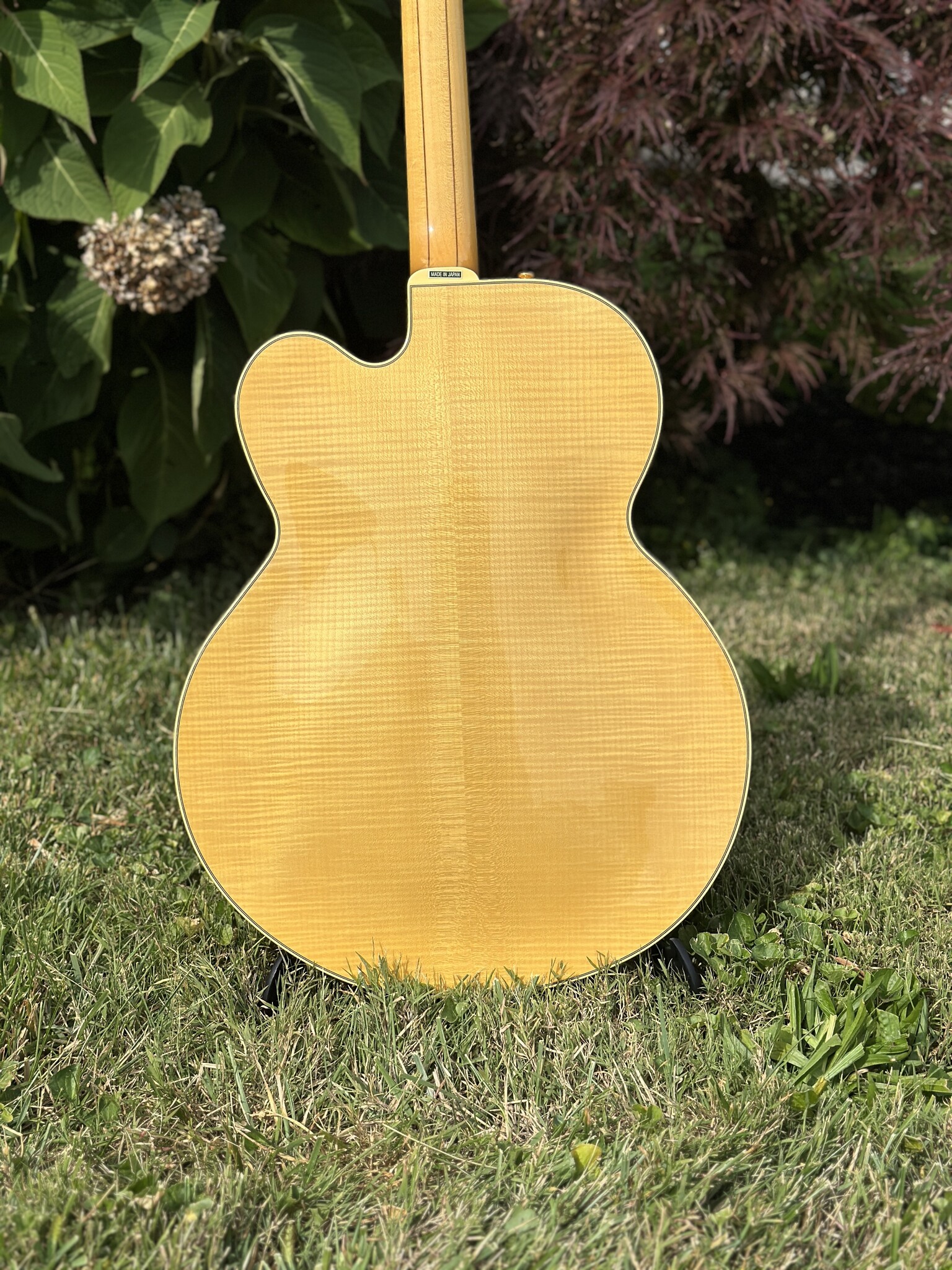 2006 Epiphone Byrdland Elitist-8