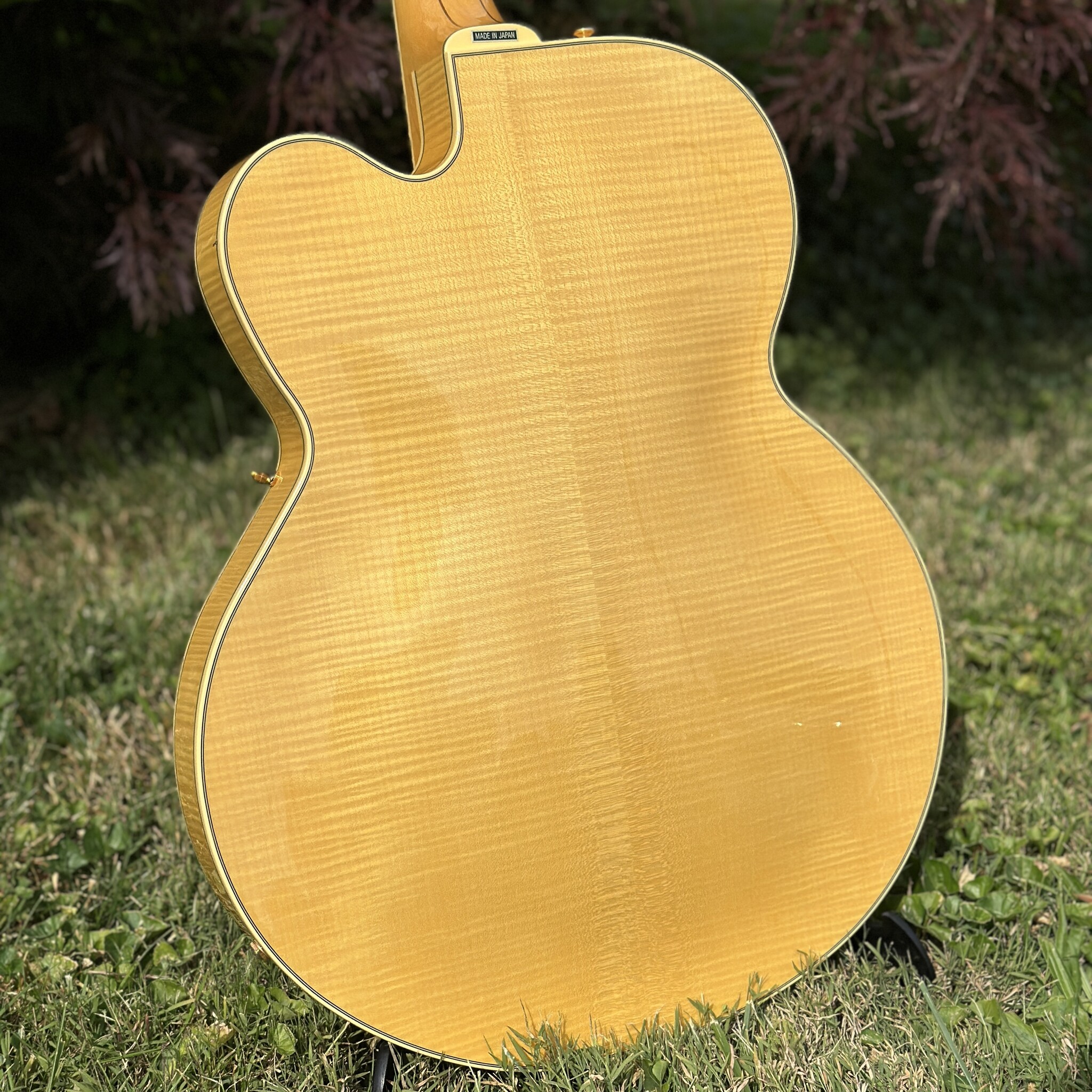 2006 Epiphone Byrdland Elitist-9