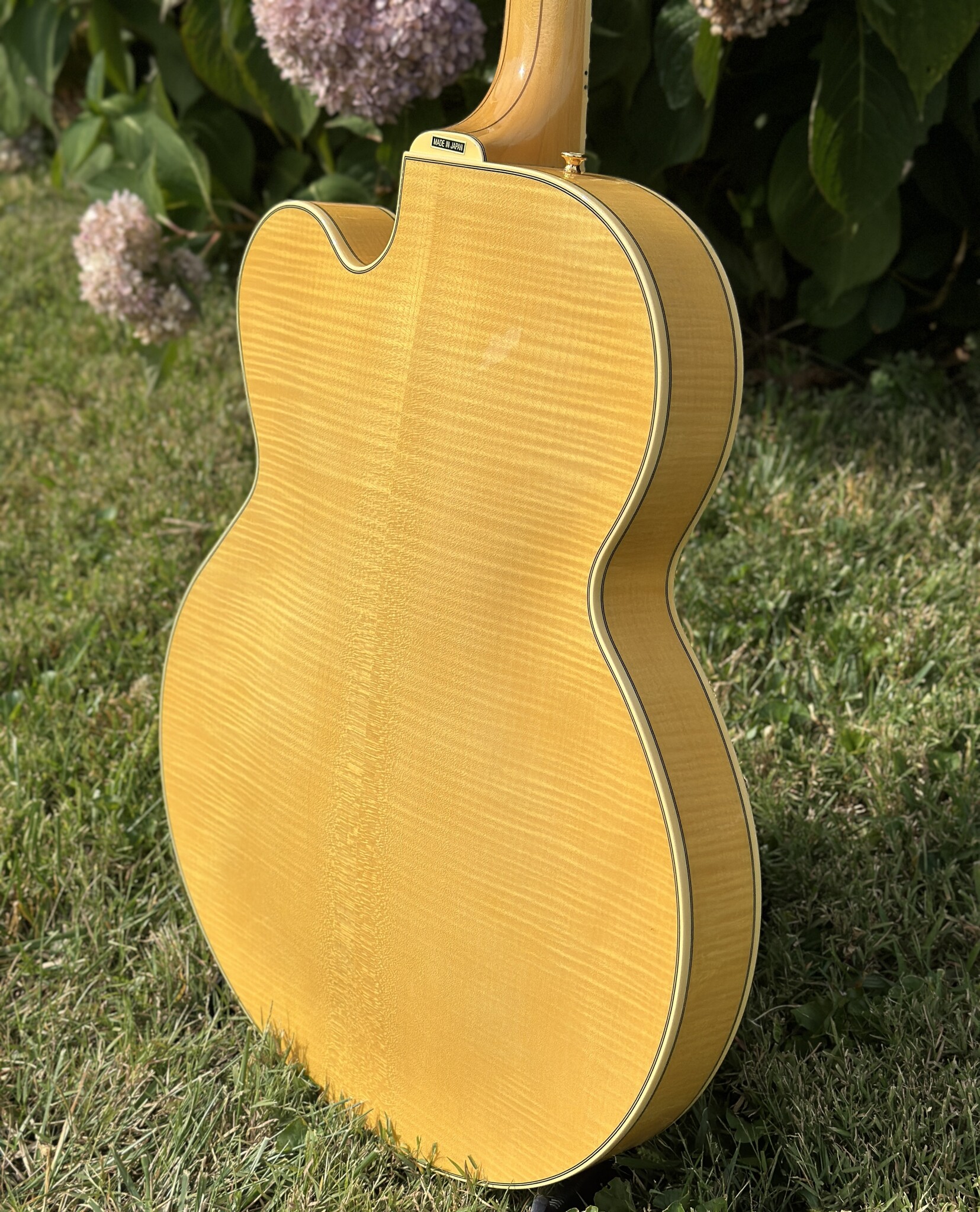 2006 Epiphone Byrdland Elitist-10