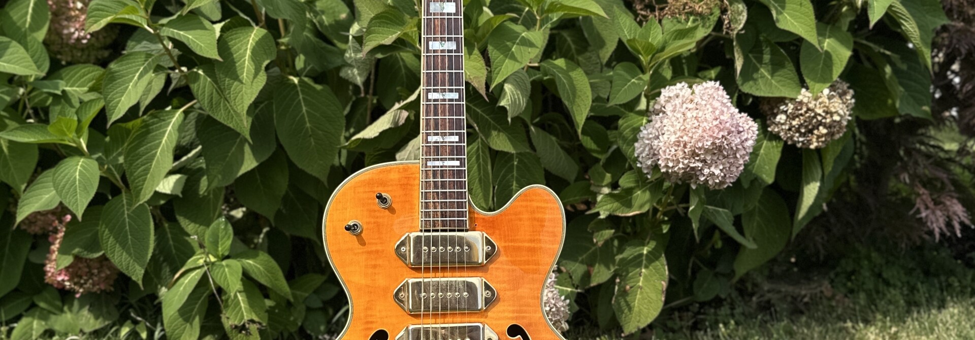 Jay Turser JT-SM 3 P-90 Archtop