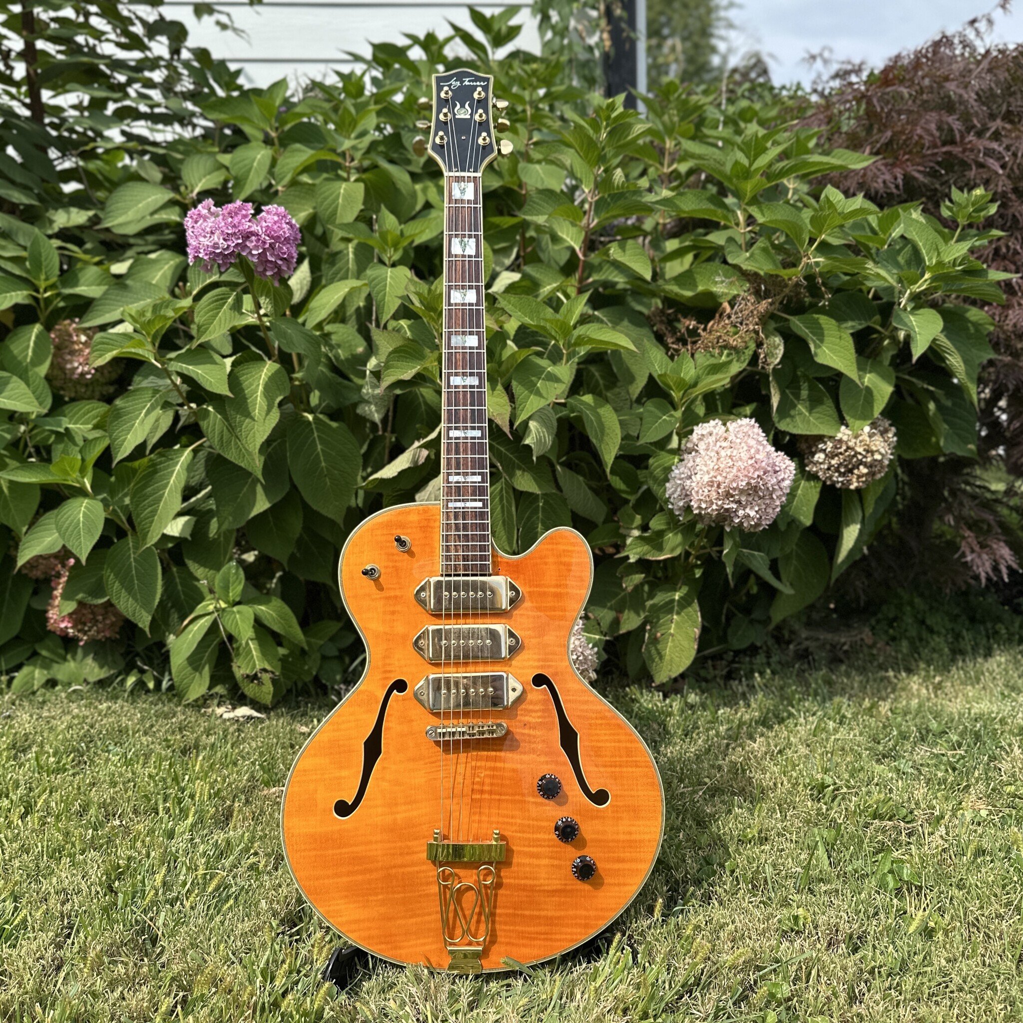 Jay Turser JT-SM 3 P-90 Archtop-1