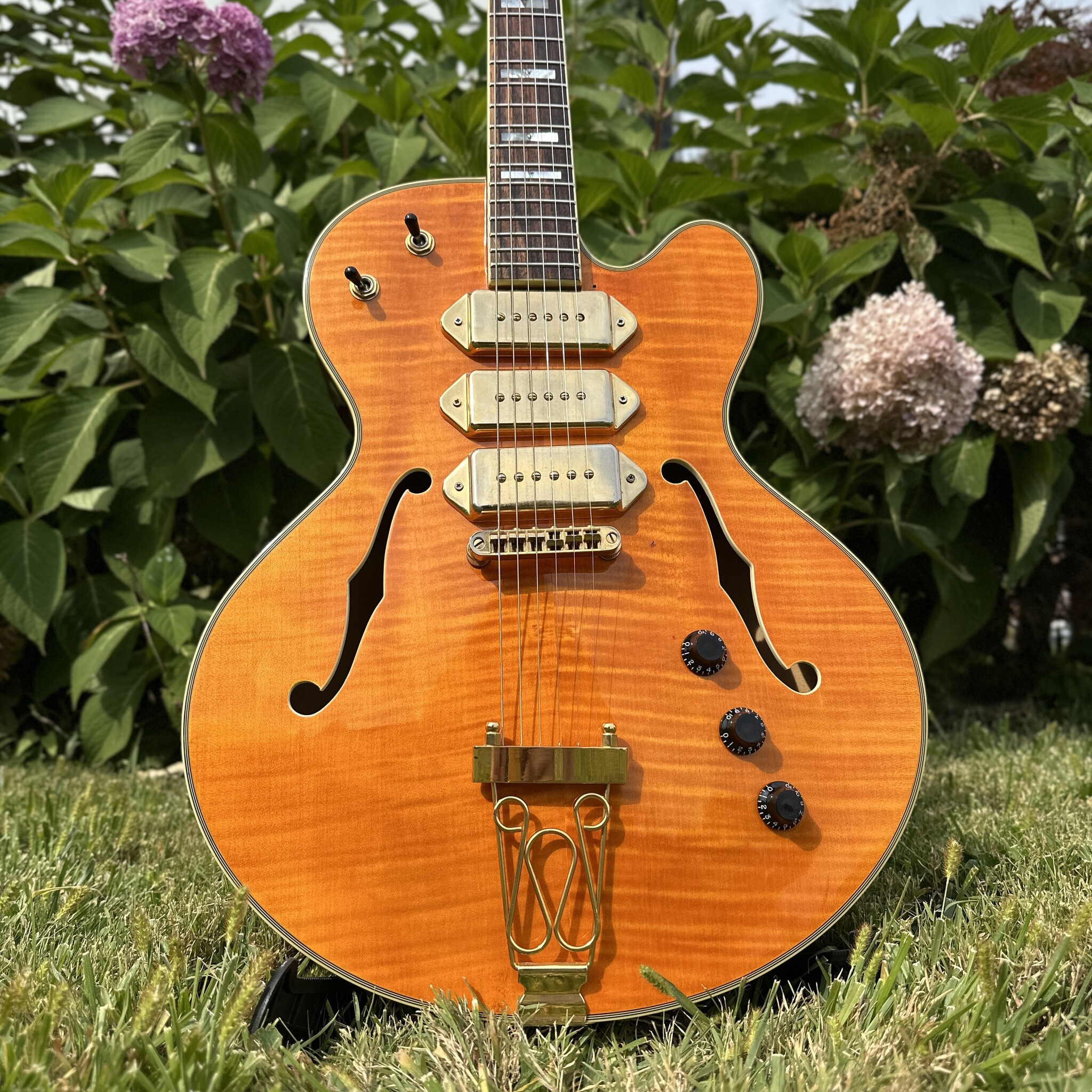 Jay Turser JT-SM 3 P-90 Archtop-2