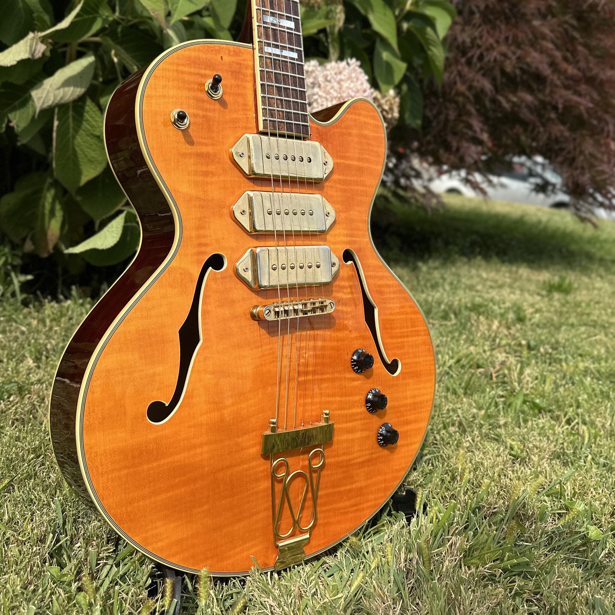 Jay Turser JT-SM 3 P-90 Archtop-3