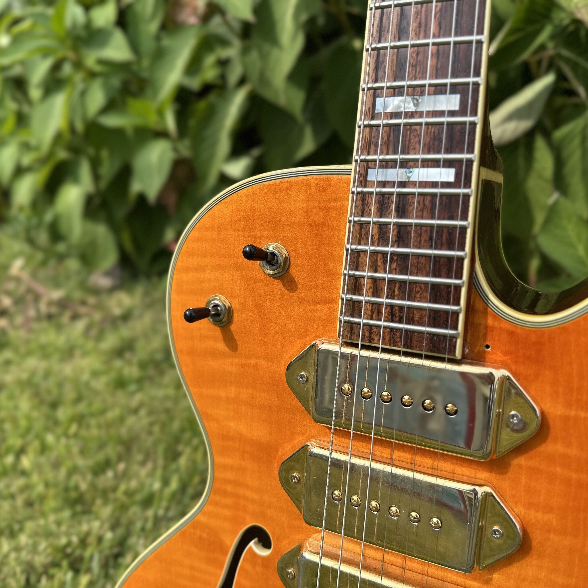 Jay Turser JT-SM 3 P-90 Archtop-4