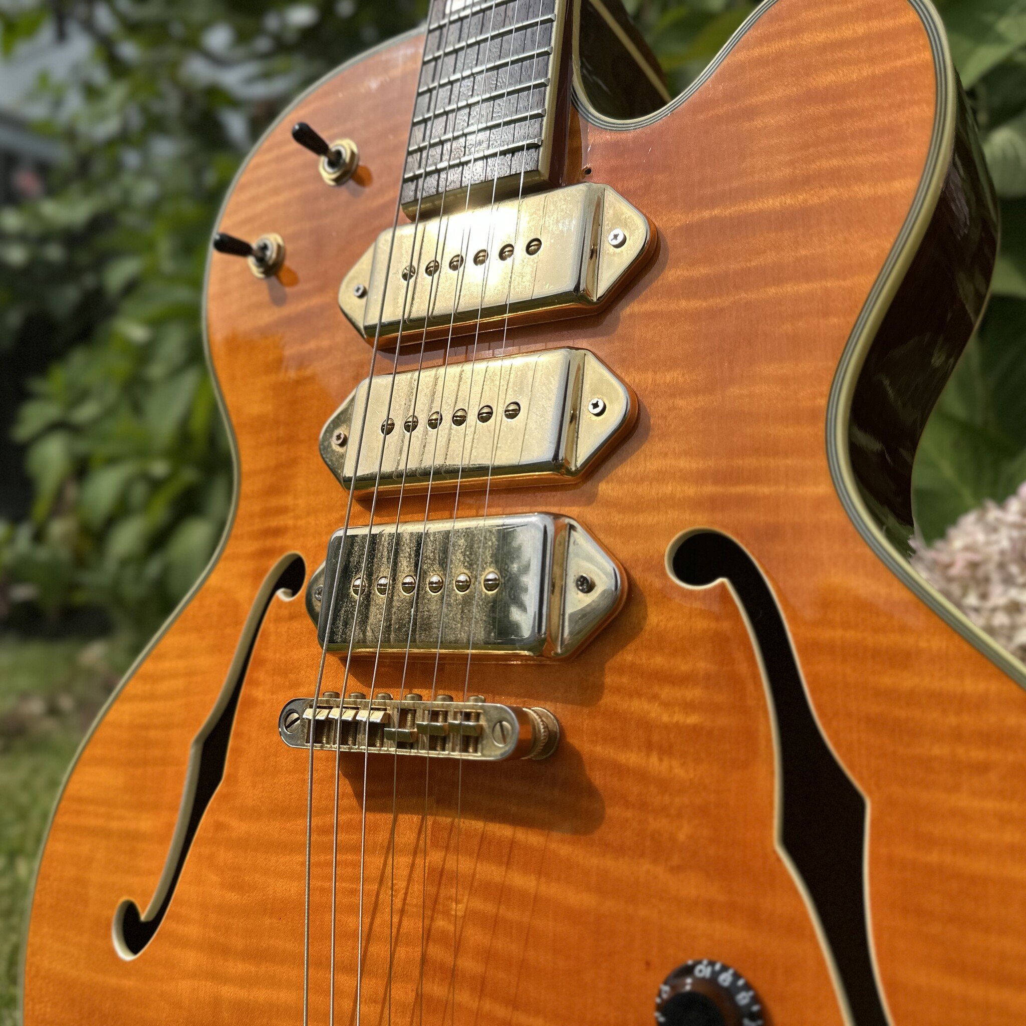 Jay Turser JT-SM 3 P-90 Archtop-5