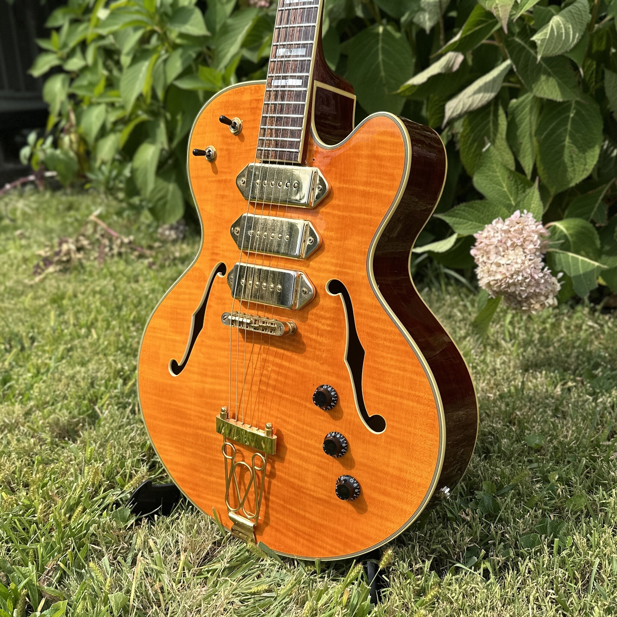 Jay Turser JT-SM 3 P-90 Archtop-6