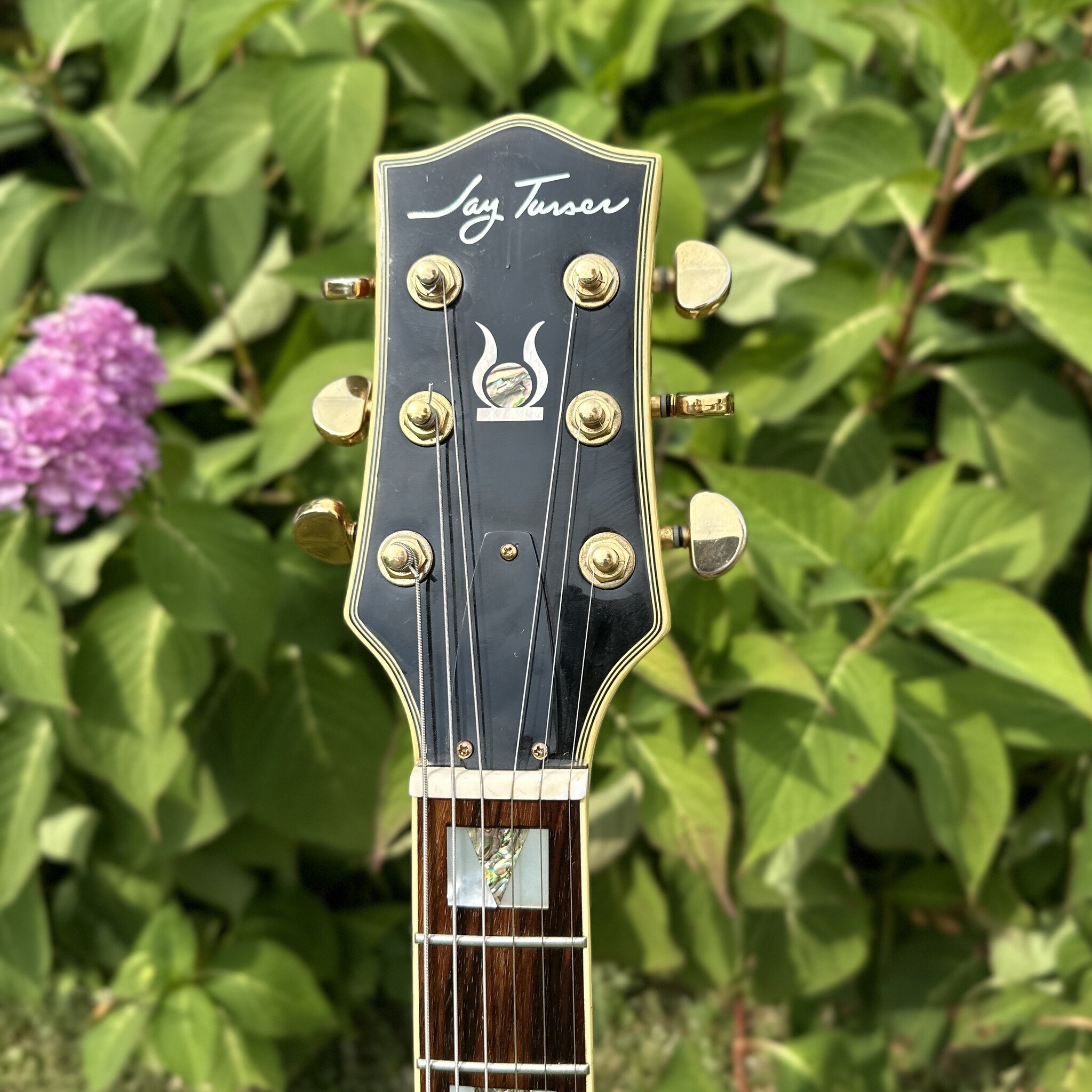 Jay Turser JT-SM 3 P-90 Archtop-8