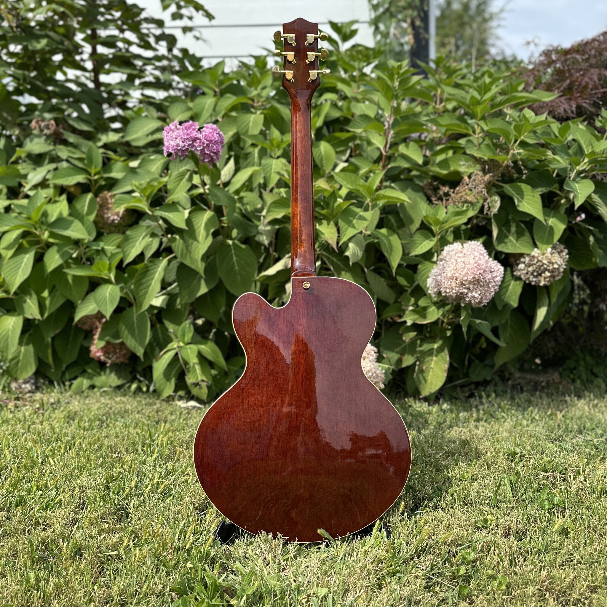 Jay Turser JT-SM 3 P-90 Archtop-9