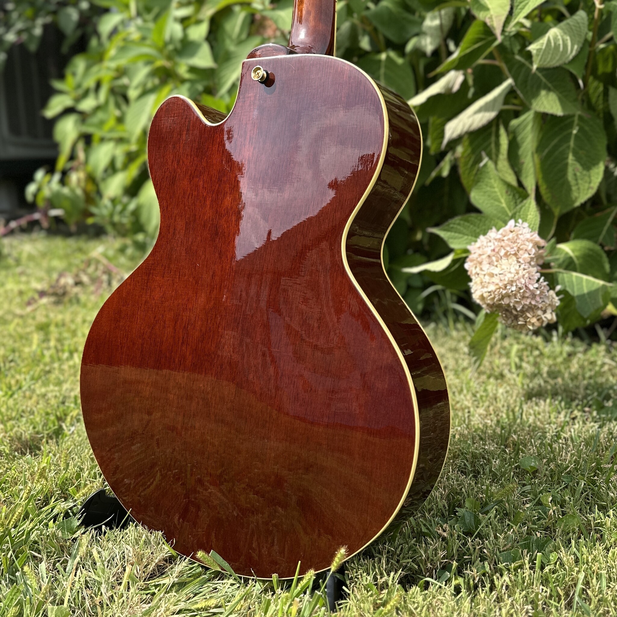 Jay Turser JT-SM 3 P-90 Archtop-10