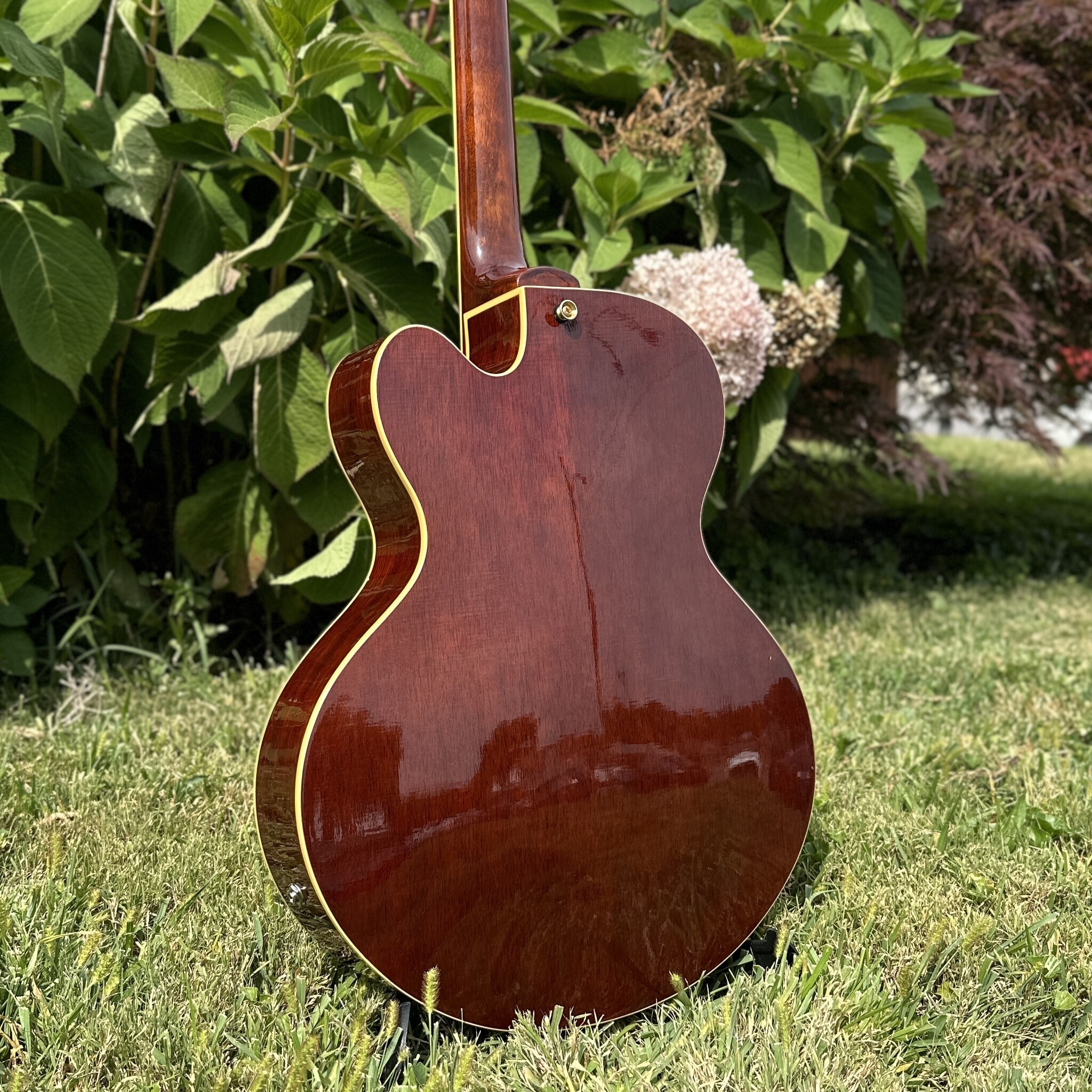 Jay Turser JT-SM 3 P-90 Archtop-11