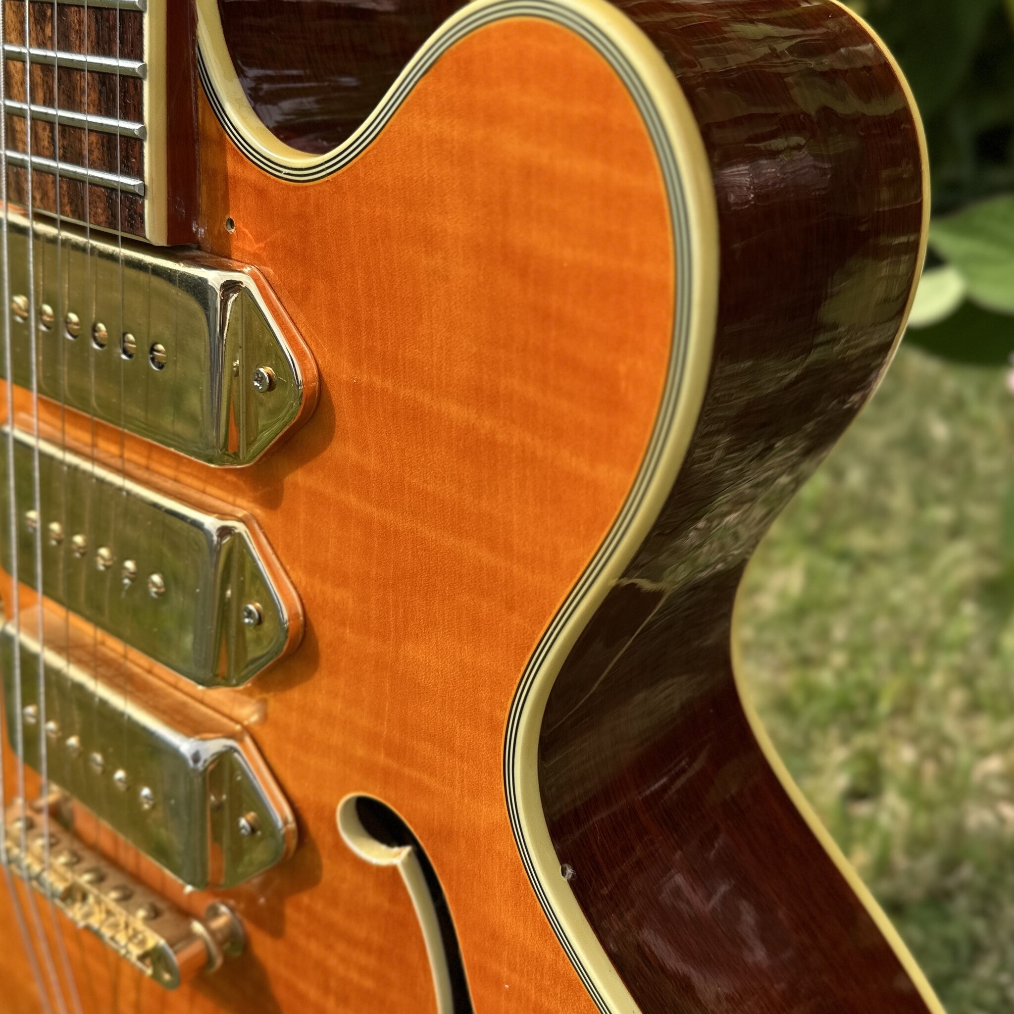 Jay Turser JT-SM 3 P-90 Archtop-7