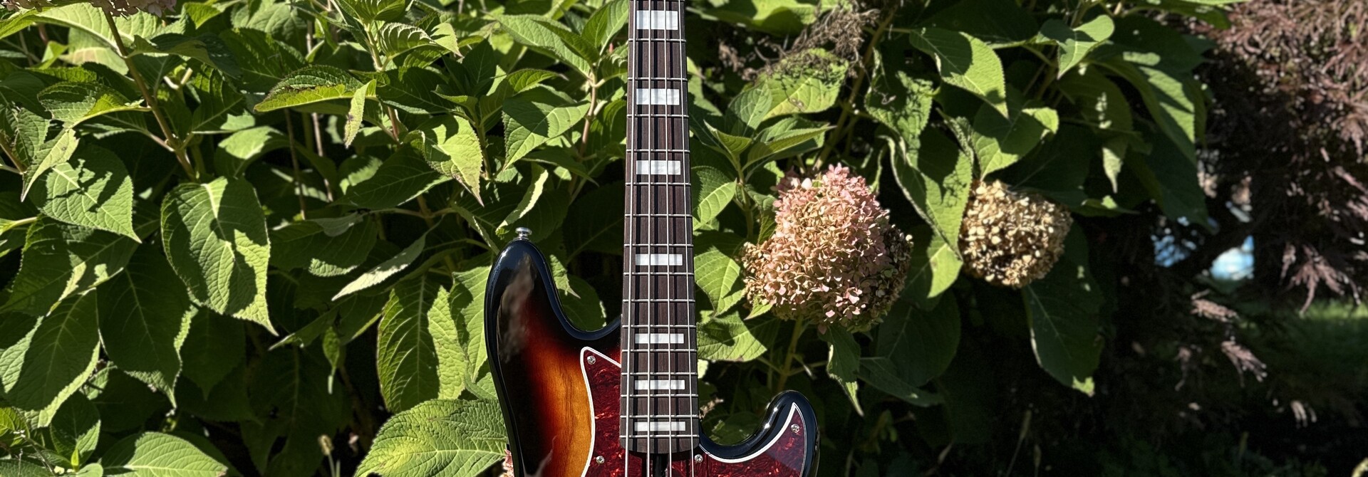 Lakland Skyline HH-30 James Hutch Hutchinson Short-Scale Bass