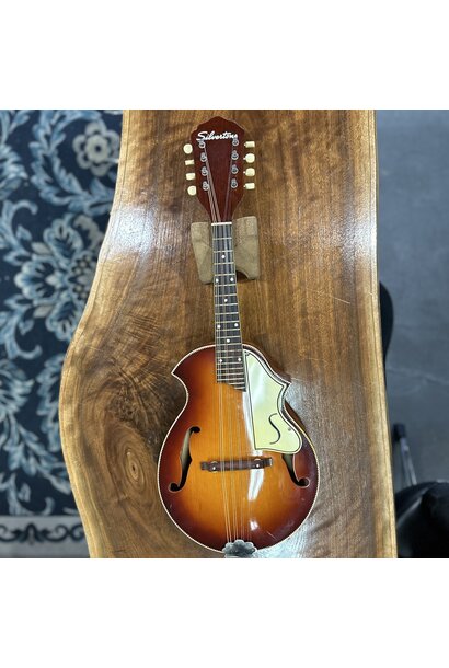 1960s Silvertone "Venetian" Mandolin L3800 w/case