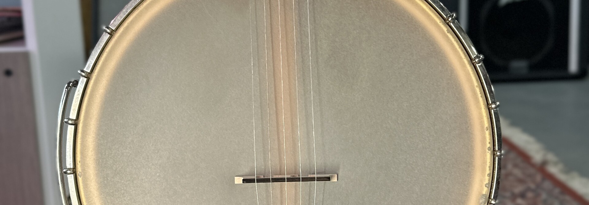 Bart Reiter 12" Open Back Banjo