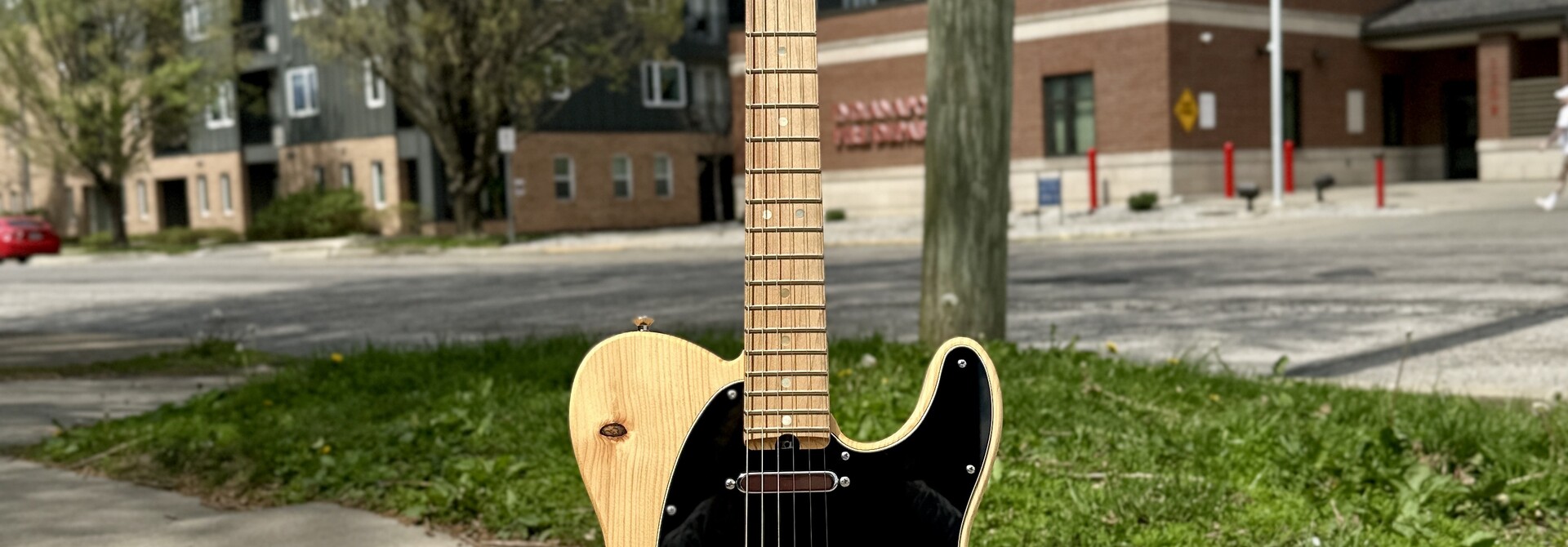 Rihani Custom Pine T-style Electric Guitar