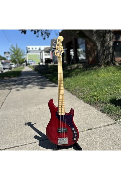 Squier Dimension 5-string Bass