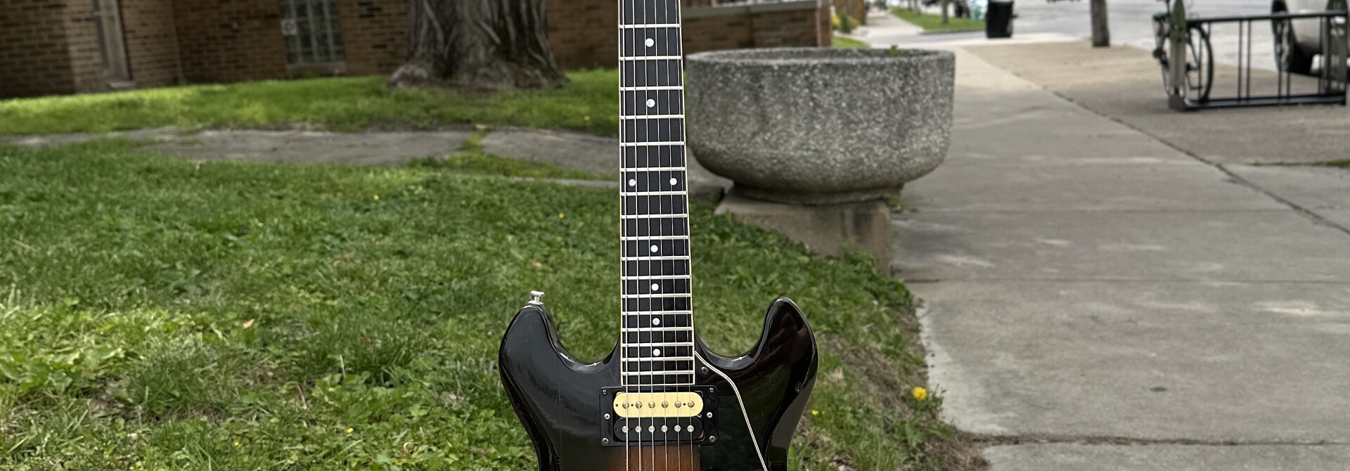 1981 Gibson Professional 335-S Deluxe  w/ Bigsby B5
