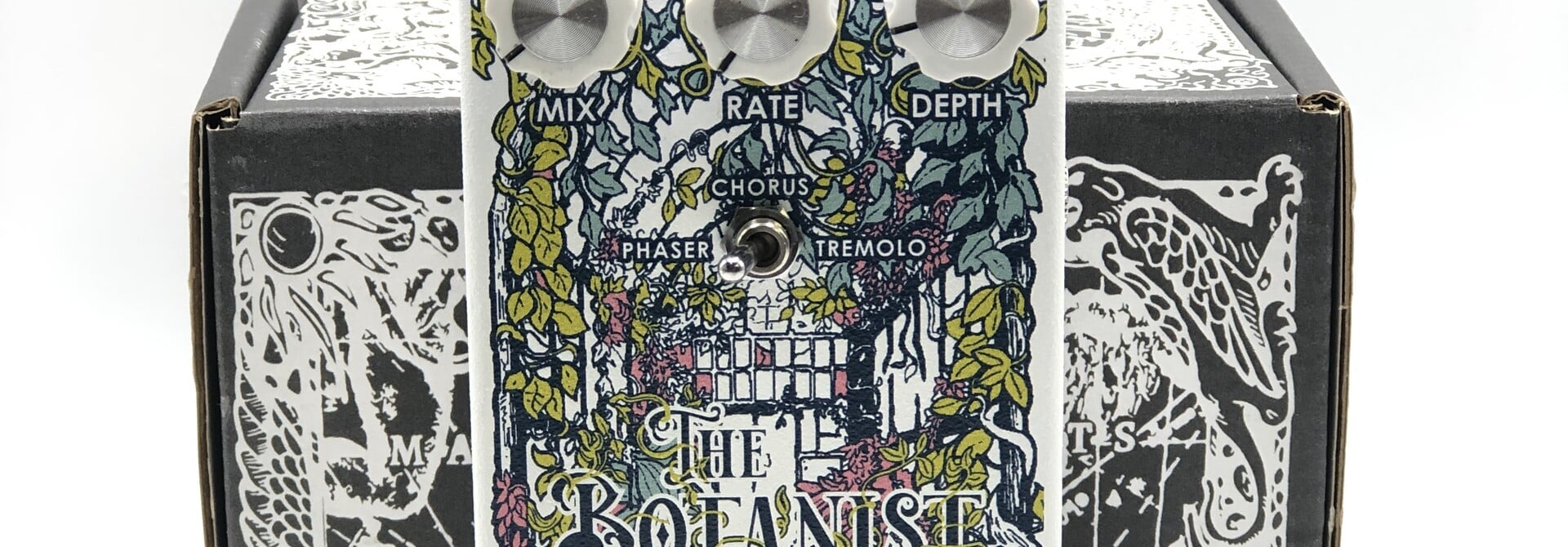 Matthews Effects The Botanist