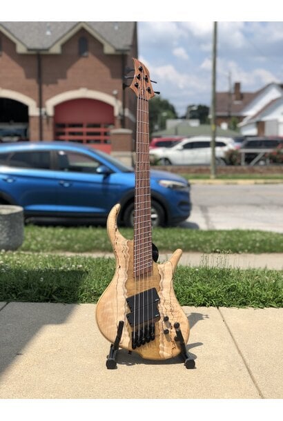 Grog Guitars Epoxy River Atlas 5 w/Deluxe Gig Bag