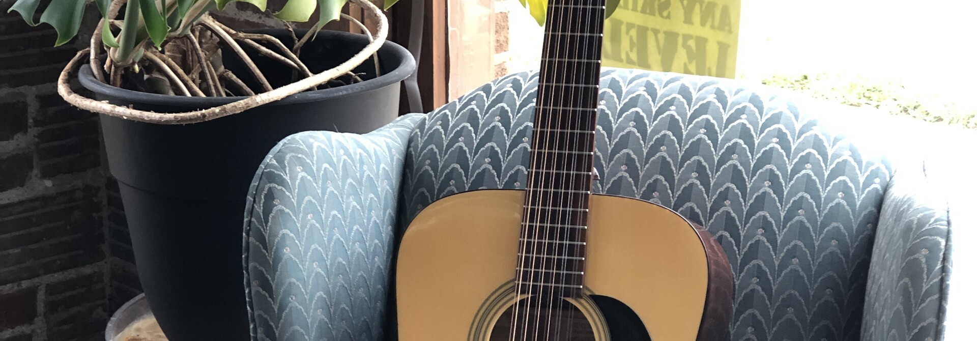 Recording King RD-06-12 12 String Acoustic