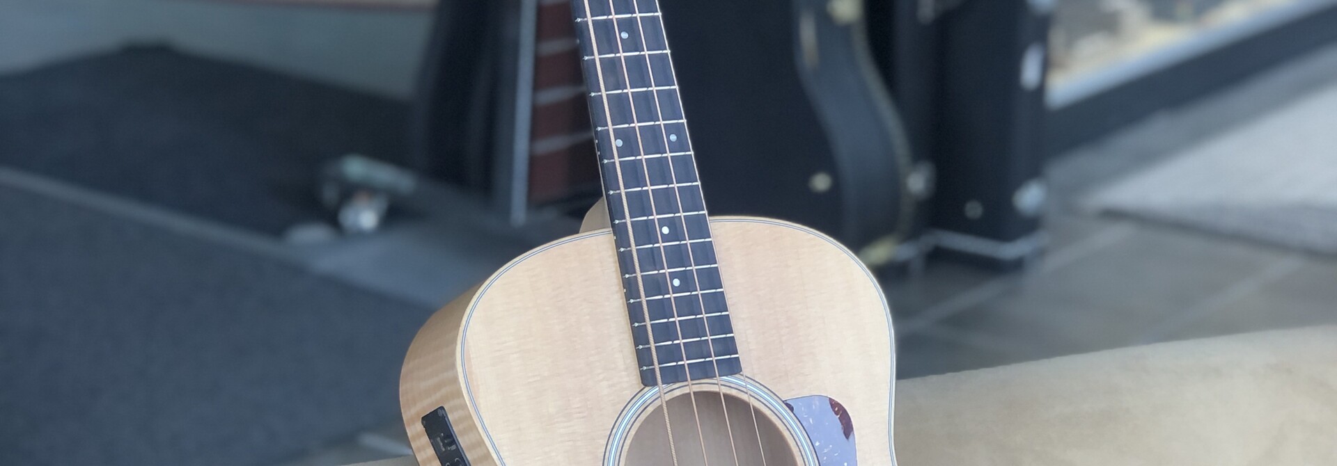 Taylor GS Mini-e Bass w/bag