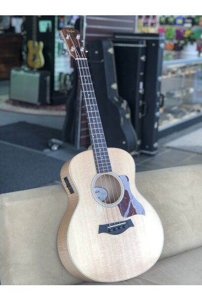 Taylor GS Mini-e Bass w/bag