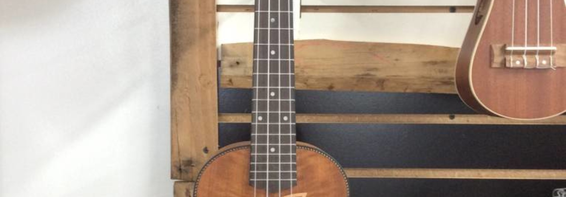 Eddy Finn EF-28-C Mahogany