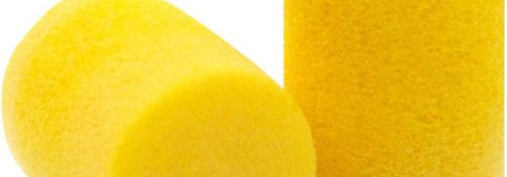 Foam Ear plugs