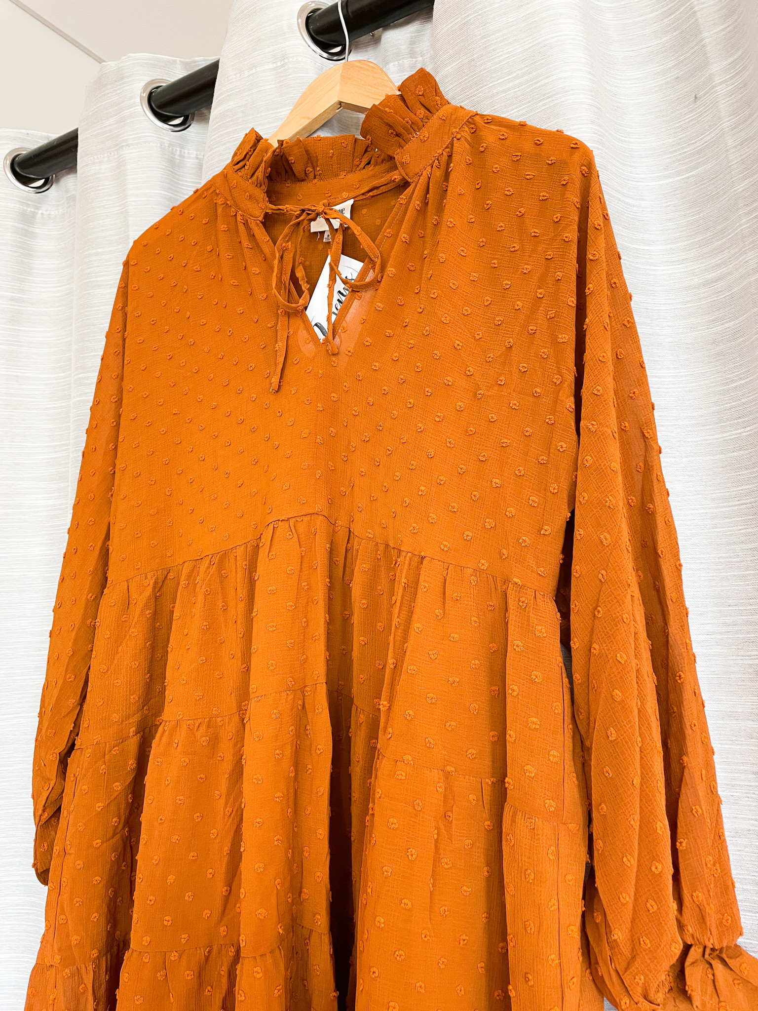 Peach Love California Rust Dress w/ Swiss Dot & High Neck Detail