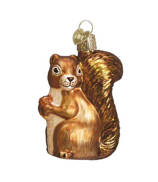 Squirrel