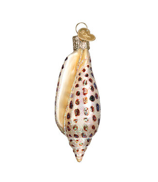 Old World Christmas Junonia Shell