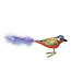 Painted Bunting