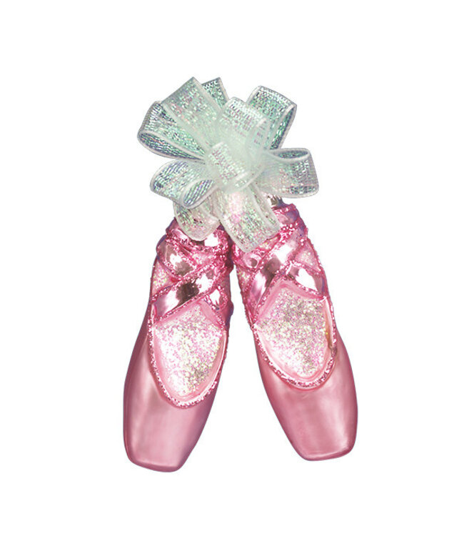 Pair of Ballet Slippers