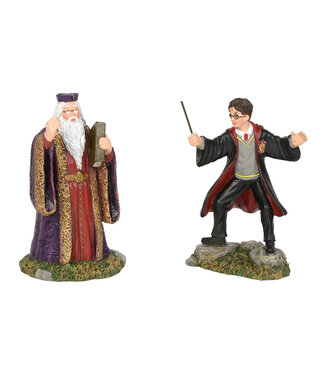 Department 56 Harry and the Headmaster for Harry Potter Village