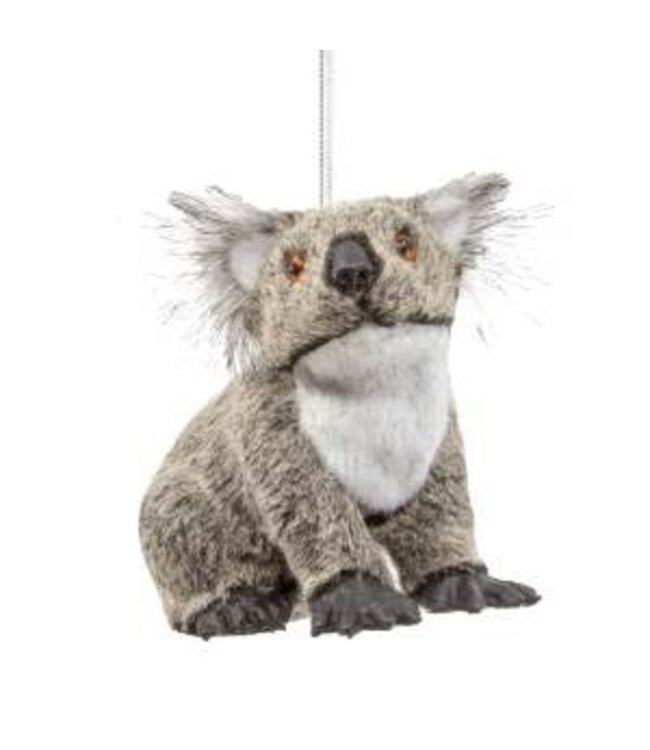 Furry Koala