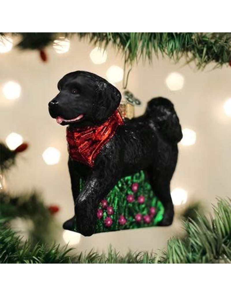 Old World Christmas Black Doodle Dog