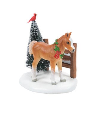 Department 56 Cardinal Christmas Pony