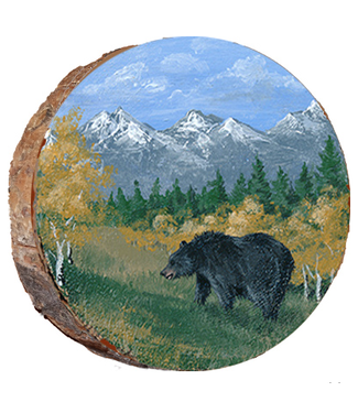 Bear in Summer Rocky Mountain National Park
