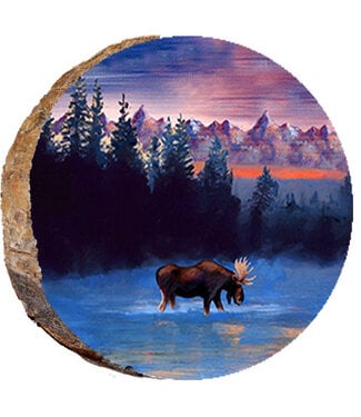 Moose in Mountain Stream