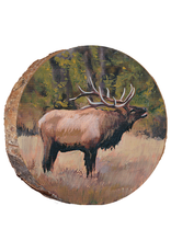 Bugling Elk RMNP