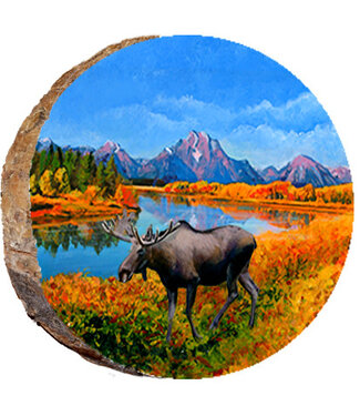 Fall Moose at Lake